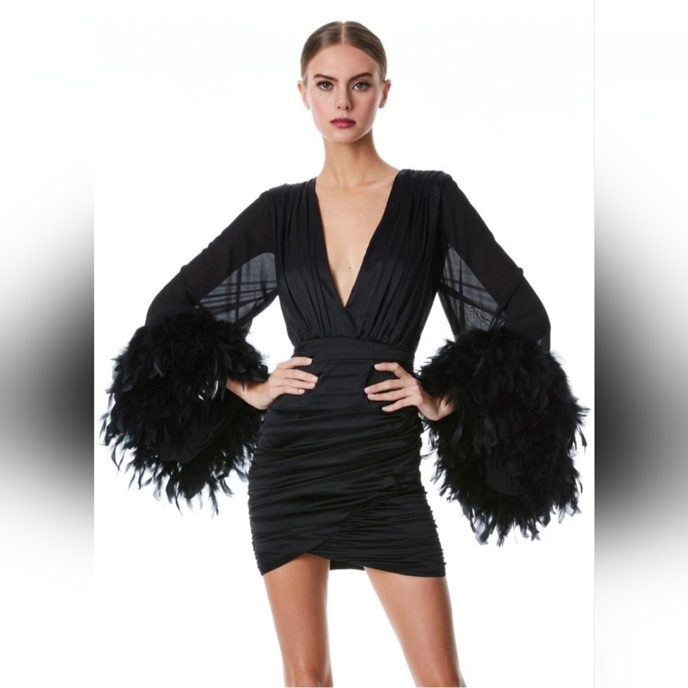 ALICE + OLIVIA JOETTE FEATHER TRIM SLEEVE MINI DRESS SIZE 2 NWT $895 - Picture 2 of 16